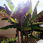 L'ermitage *